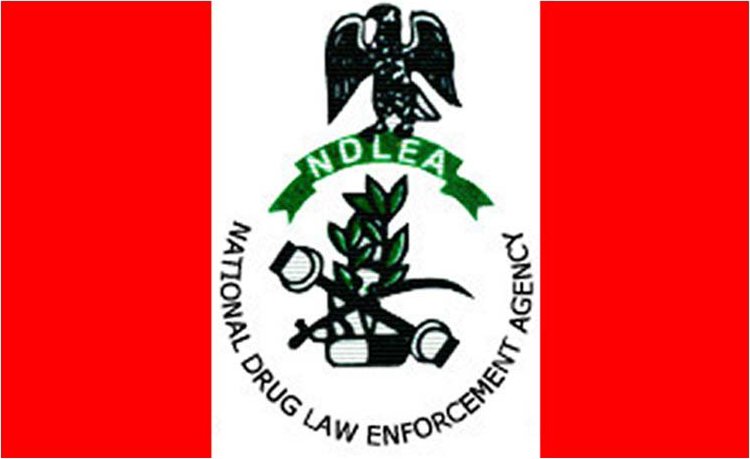 After gun duel, NDLEA seizes 8,852kg illicit drugs consignment in Lagos