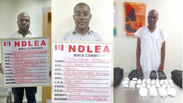Businessman arrested as NDLEA intercepts cocaine, meth going to Vietnam, Brazil, Italy