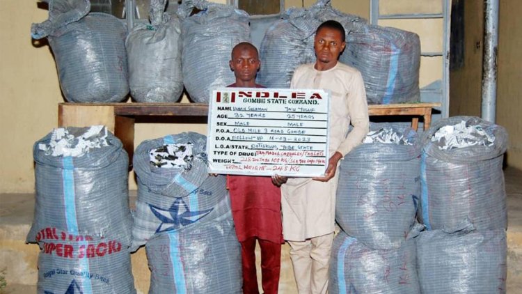 1.2million pills of tramadol seized as NDLEA intercepts heroin consignment at Lagos Airport