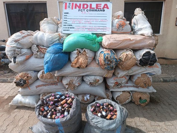 NDLEA busts another Tramadol cartel, seizes over N5billion Opioids in warehouse