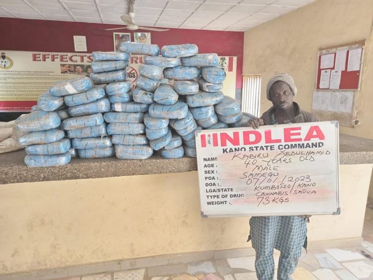 NDLEA intercepts drug consignments in wooden statue, imported vehicle