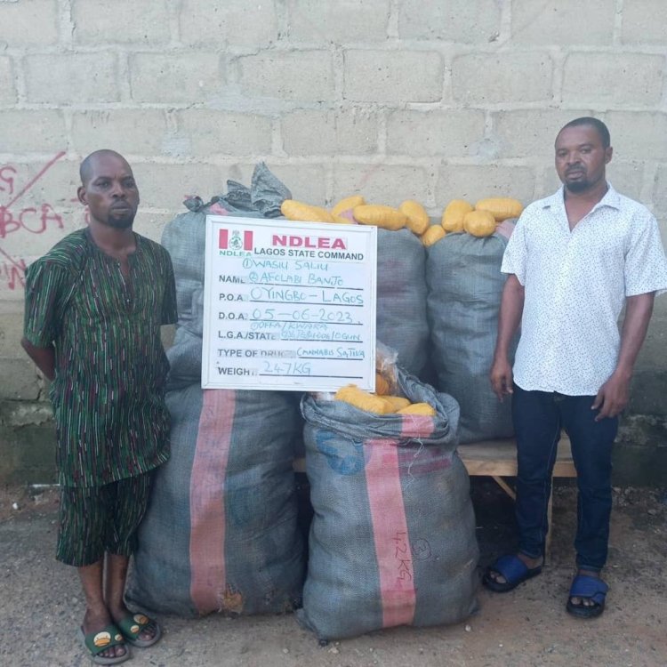NDLEA uncovers Meth Lab in Lagos residential community, recovers packs of illicit drug