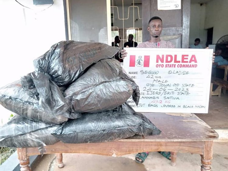NDLEA intercepts 5, 344kg imported skunk consignments in Lekki, Lagos