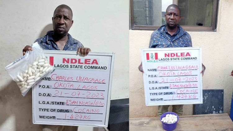 NDLEA arrests drug lord while giving mule 93 cocaine wraps to swallow in Lagos hotel
