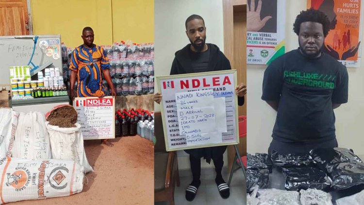 NDLEA arrests artistes’ manager, businessman who sell drugs at Lekki, Lagos Island clubs
