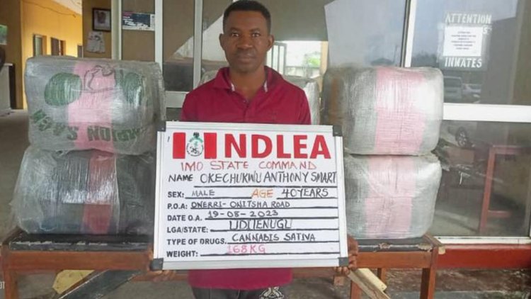 NDLEA raids drug warehouse in Lagos, recovers N4.8billion worth of opioids