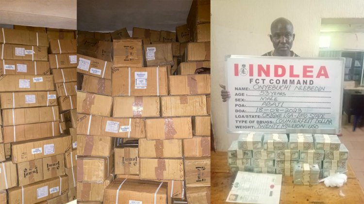 NDLEA raids drug warehouse in Lagos, recovers N4.8billion worth of opioids