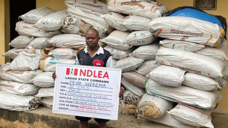 NDLEA intercepts ephedrine, skunk, laughing gas consignments at Lagos airport