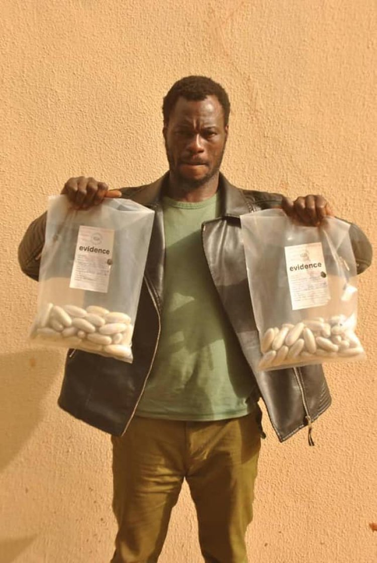 Transborder drug trafficker arrested in Sokoto with N1bn worth of cocaine