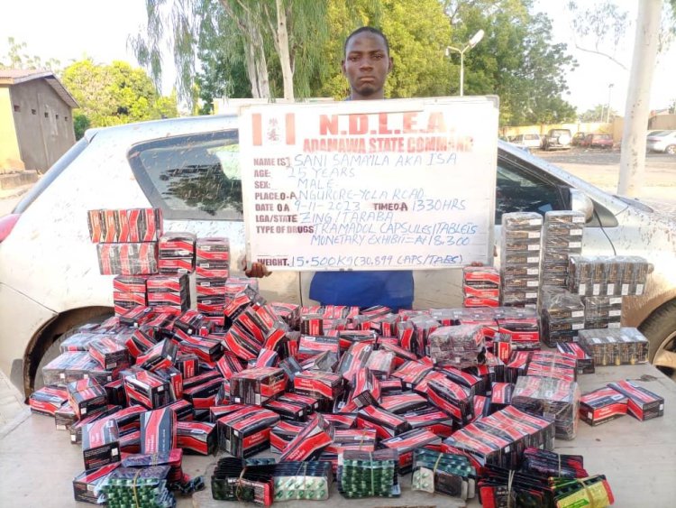 Man who sells illicit drugs in wheelchair, ex- convict, others arrested in NDLEA raids