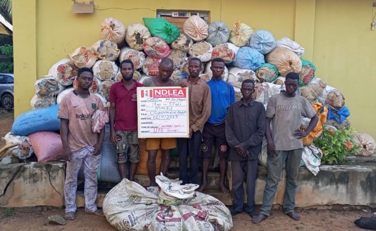 Man who sells illicit drugs in wheelchair, ex- convict, others arrested in NDLEA raids