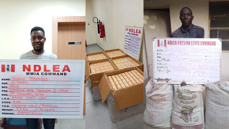 NDLEA intercepts large consignment of Canadian Loud in Lagos, UK, Italy-bound opioids