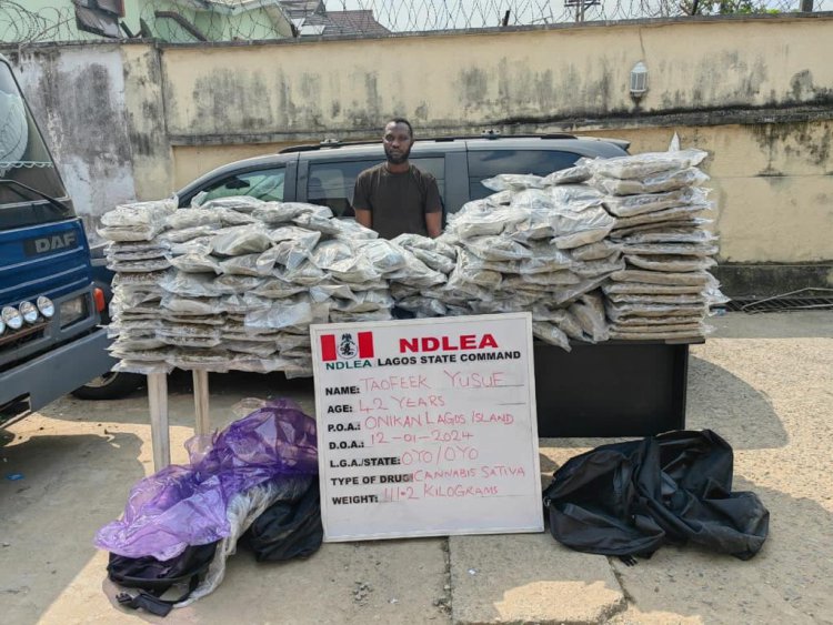 NDLEA intercepts large consignment of Canadian Loud in Lagos, UK, Italy-bound opioids