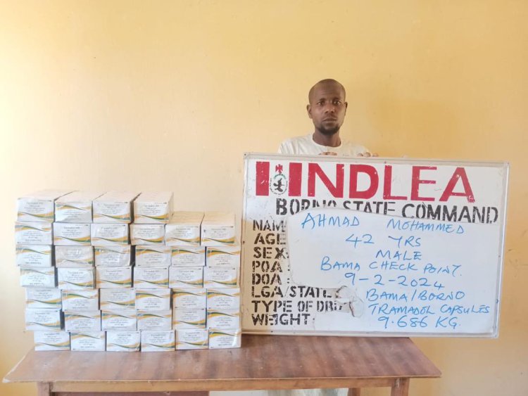 Insurgents’ drug supplier arrested as NDLEA intercepts 7.6 tons of illicit drugs in Borno, Nasarawa