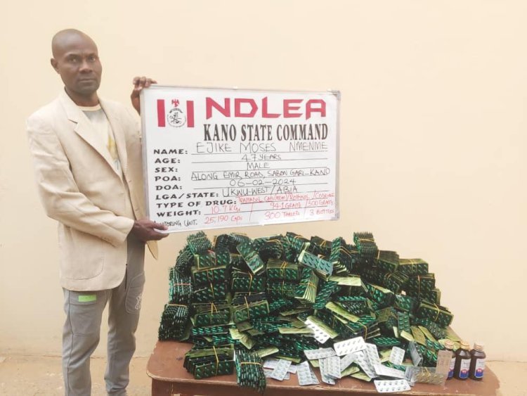 Insurgents’ drug supplier arrested as NDLEA intercepts 7.6 tons of illicit drugs in Borno, Nasarawa