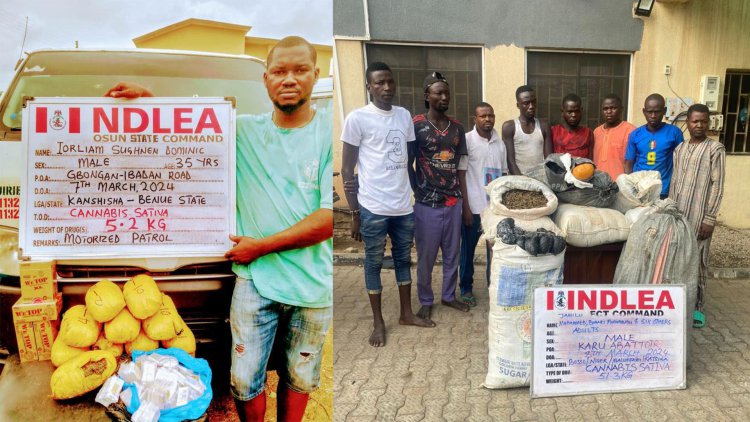 NDLEA uncovers illicit drug consignment in commercial bus engine, arrests 2 grandpas