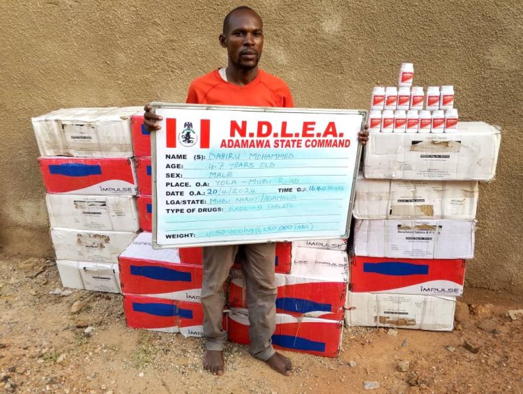 51.90kg heroin: NDLEA nets 3 wanted kingpins, intercepts Oman-bound drug consignment