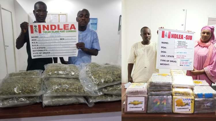NDLEA smashes 2 drug cartels, recovers multi-billion-naira cocaine, fentanyl consignments