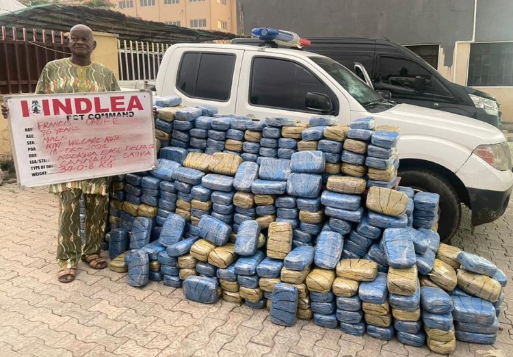 NDLEA bursts snake-guarded shrine used to store illicit drugs, arrests 2 in Edo 