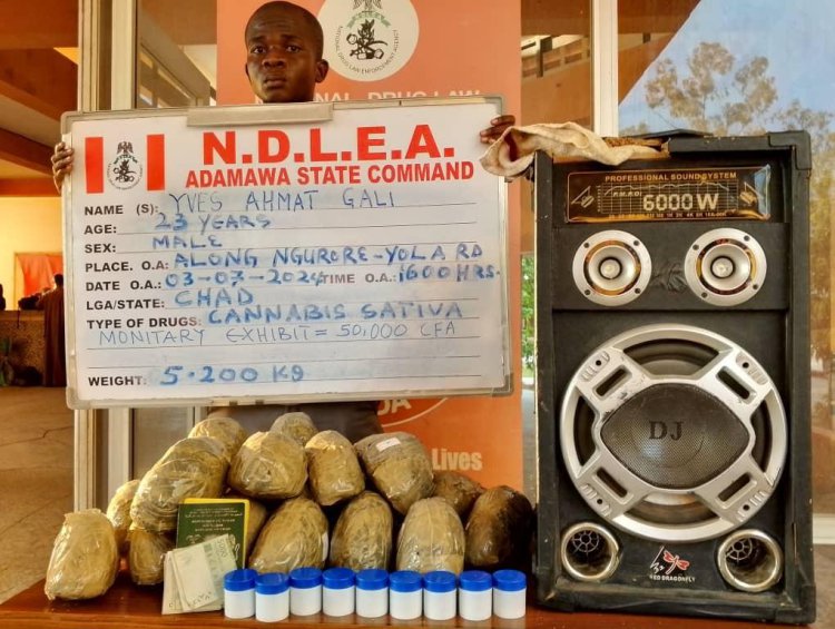 NDLEA smashes cocaine syndicate, arrests couple, recovers N2.1b drug in Lagos raid