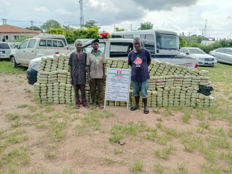 Cocaine, Loud consignments hidden in incense candles, ladies’ wears seized in Lagos