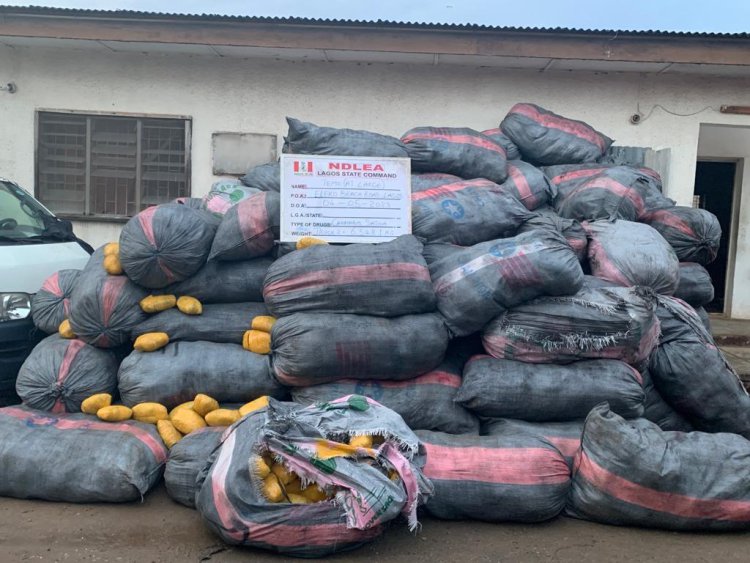 After years of evading arrest, NDLEA nabs most wanted Lagos drug baron, Temo