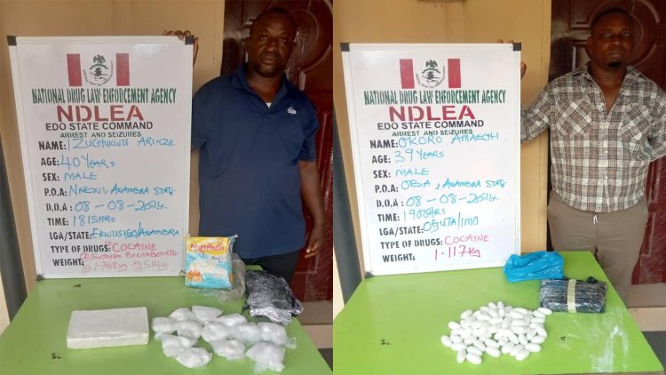 NDLEA smashes cocaine syndicates, recovers multi-billion-naira drugs in nationwide raids