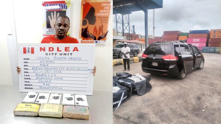 NDLEA smashes cocaine syndicates, recovers multi-billion-naira drugs in nationwide raids