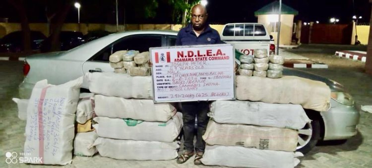 NDLEA smashes cocaine syndicates, recovers multi-billion-naira drugs in nationwide raids