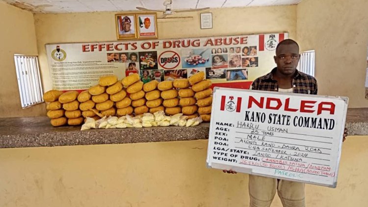 NDLEA intercepts UK, Europe-bound cocaine, opioids in female sanitary pads, hair cream