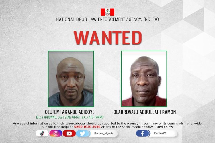 Wanted drug baron behind 4 cocaine shipments to Saudi Arabia, Qatar arrested