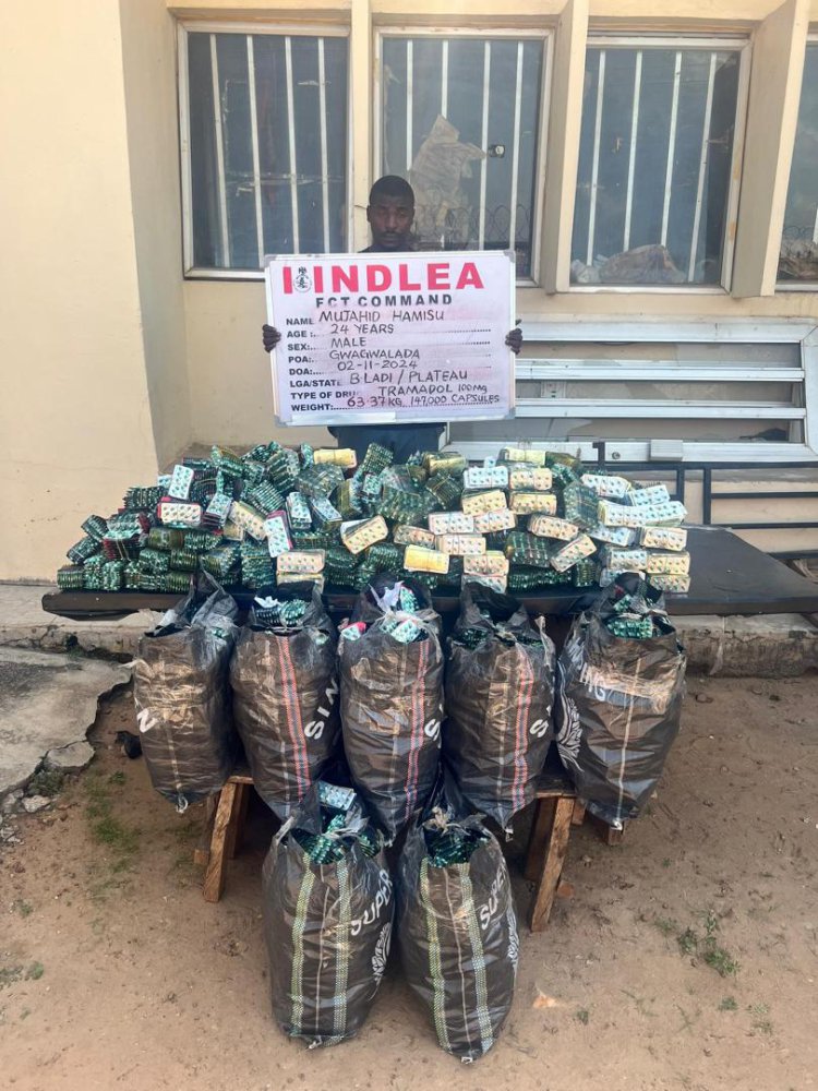 N4.4billion worth cocaine seized at Lagos airport as NDLEA grills 30 suspects