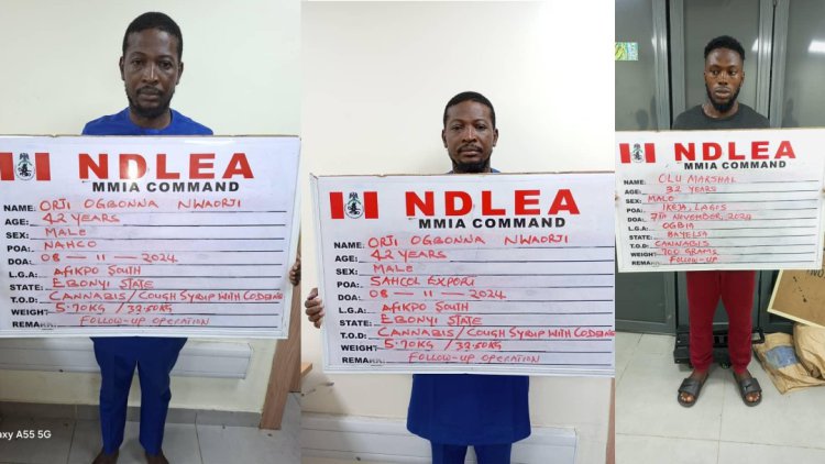 NDLEA smashes cross-border drug syndicates, arrests 6 kingpins, recovers cocaine, opioids