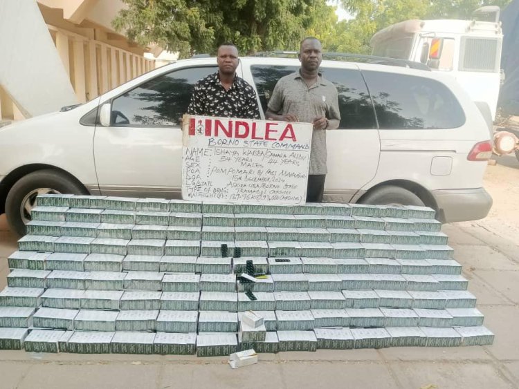 NDLEA arrests businessman at Kano airport for body packing large consignment of cocaine