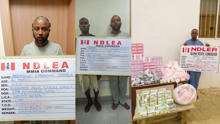 Wanted drug kingpin, Nollywood filmmaker arrested over huge illicit drug shipments