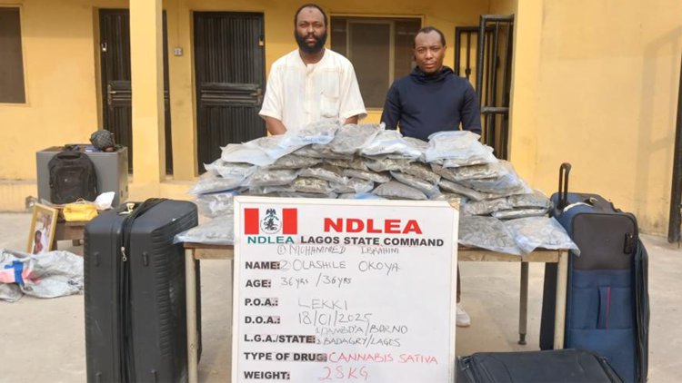 NDLEA arrests India-bound nursing student over attempt to ingest 76 wraps of cocaine