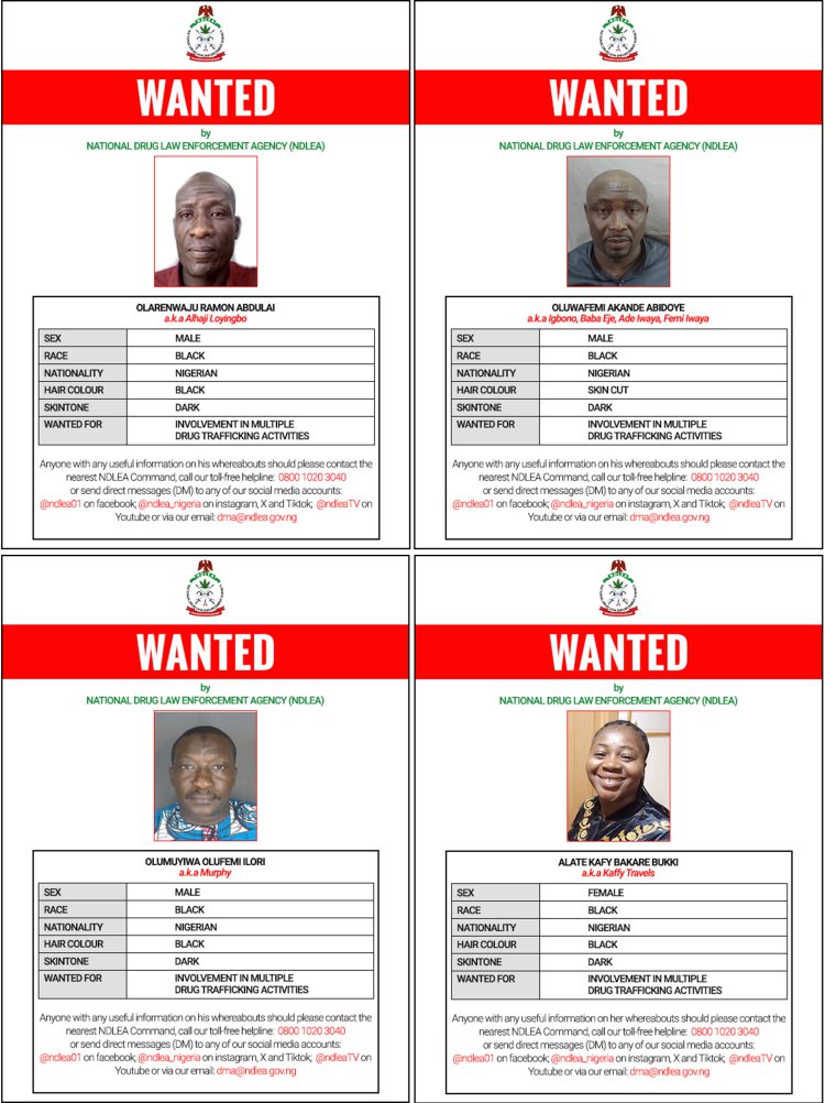 NDLEA declares 4 members of Barryshine drug cartel wanted