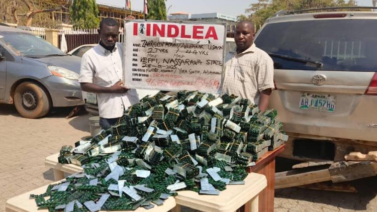 NDLEA busts trans-border drug cartel, arrests 4 members in Onitsha, Keffi