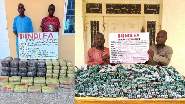 NDLEA busts trans-border drug cartel, arrests 4 members in Onitsha, Keffi