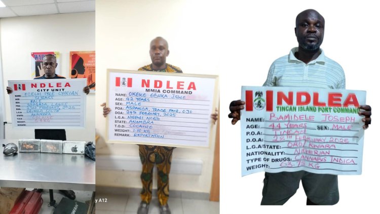 Turkey-bound businessman excretes 120 wraps of cocaine at Kano airport