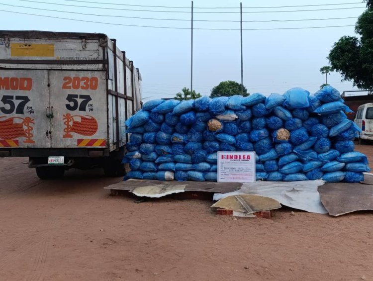 Turkey-bound businessman excretes 120 wraps of cocaine at Kano airport