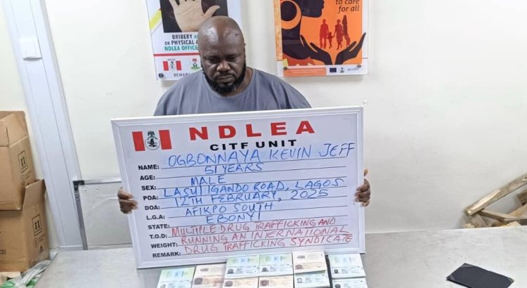 How NDLEA arrested wanted drug baron in Lagos over N1.4b seized illicit drugs - Marwa